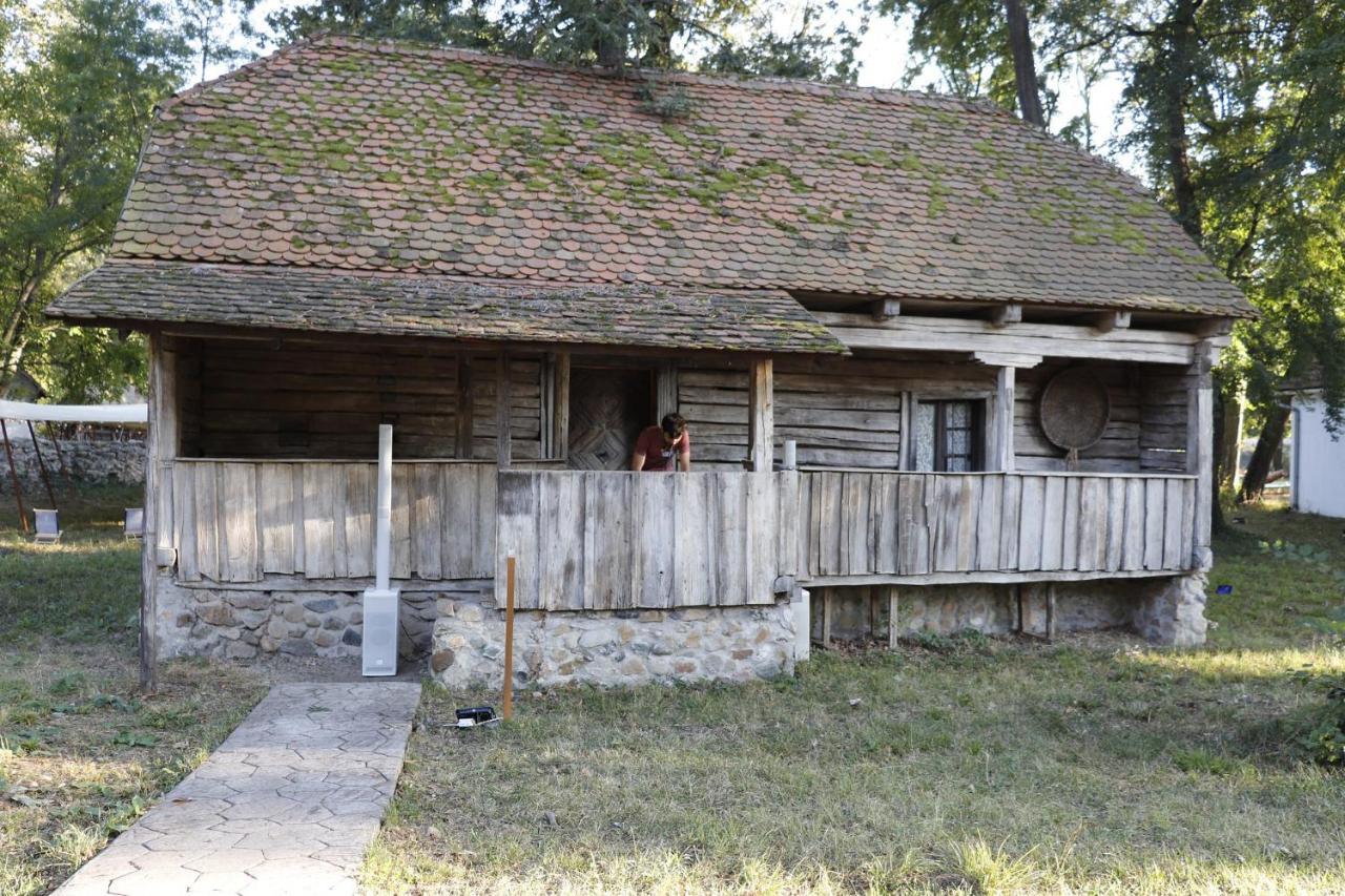 Ole Apartment - Get Your Energy For Free! Coffee And Tea On The House Timişoara Exterior foto