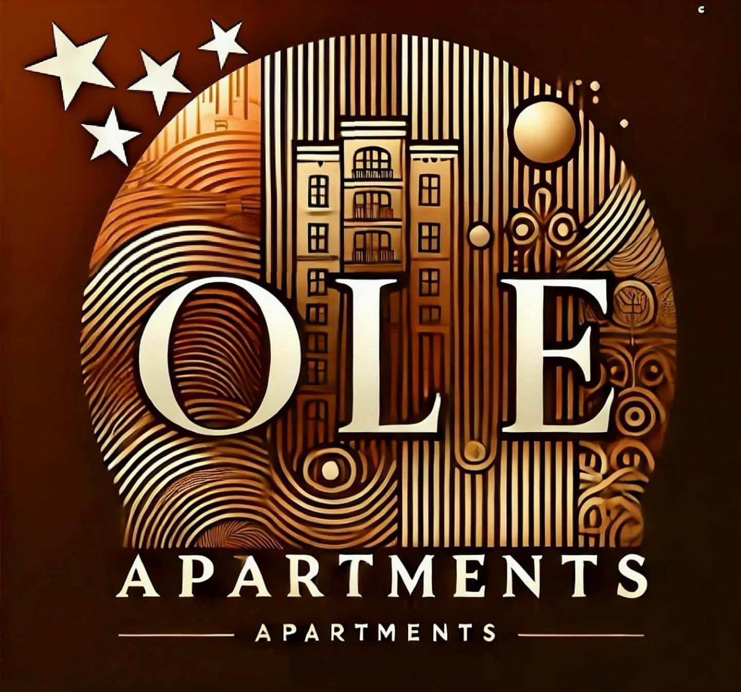 Ole Apartment - Get Your Energy For Free! Coffee And Tea On The House Timişoara Exterior foto